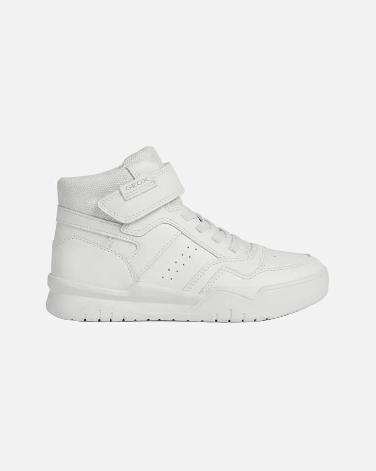 Geox Sneakers