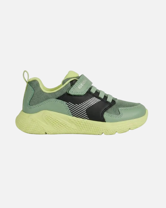 Geox Sneakers