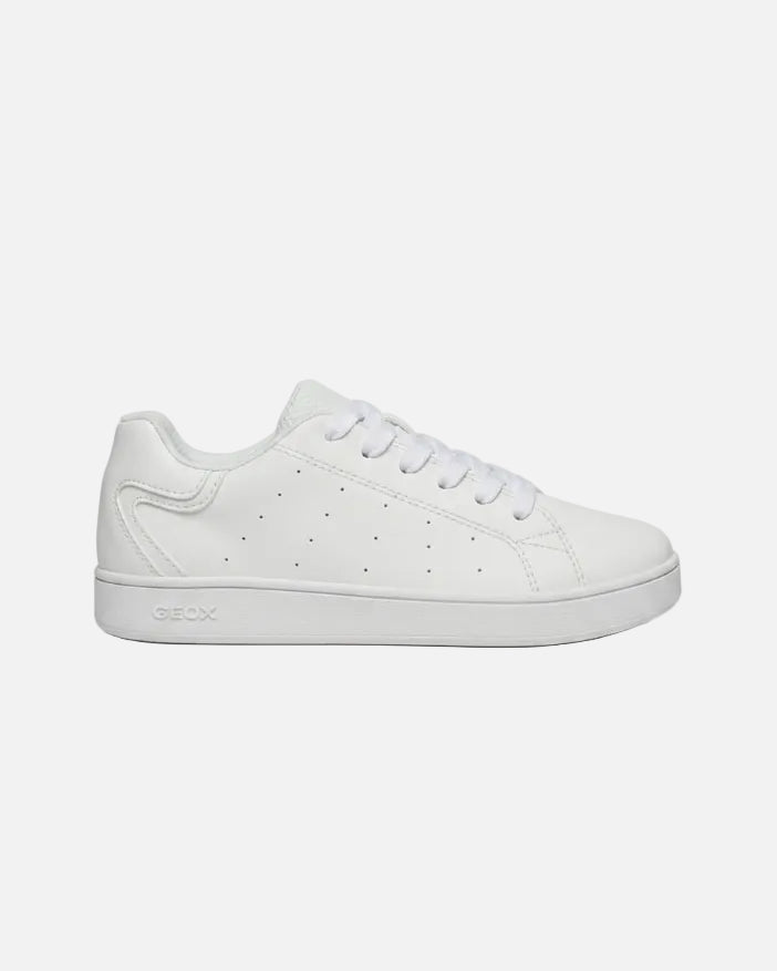 Geox Sneakers