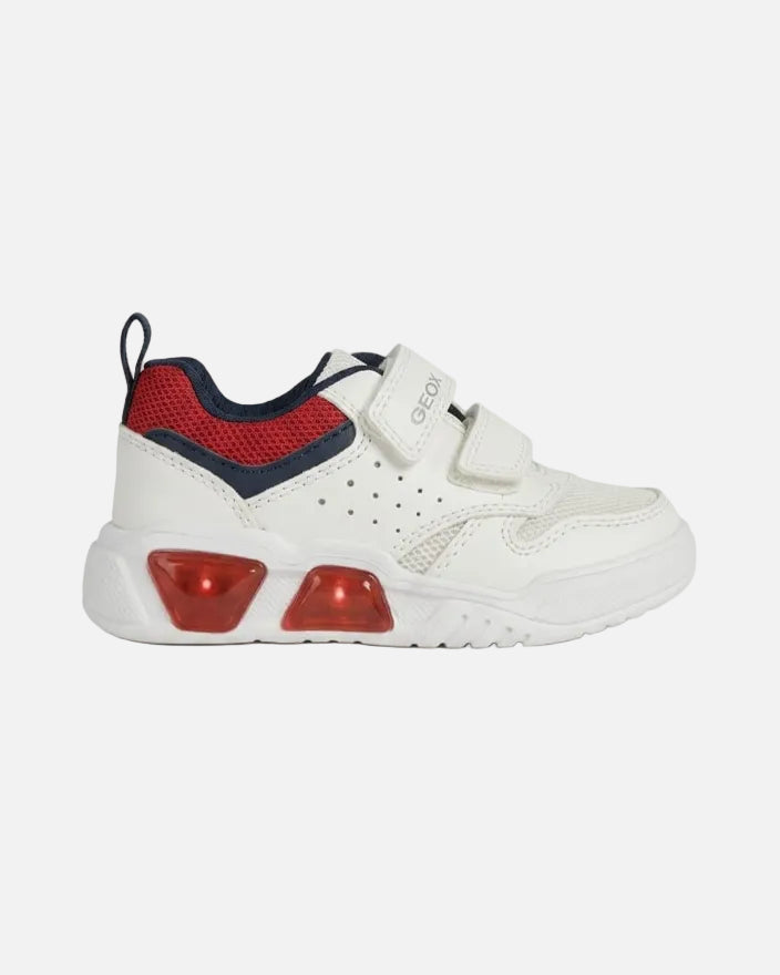 Geox Sneakers