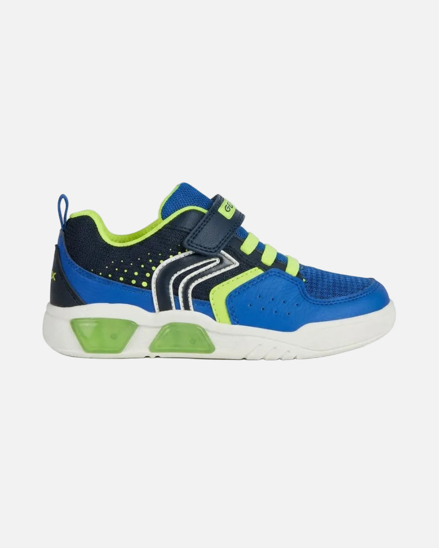 Geox Sneakers